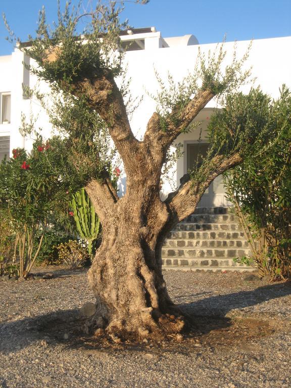 Sun Anemos Resort Οία Εξωτερικό φωτογραφία