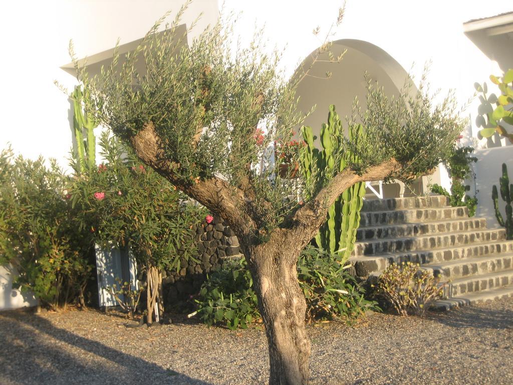 Sun Anemos Resort Οία Εξωτερικό φωτογραφία