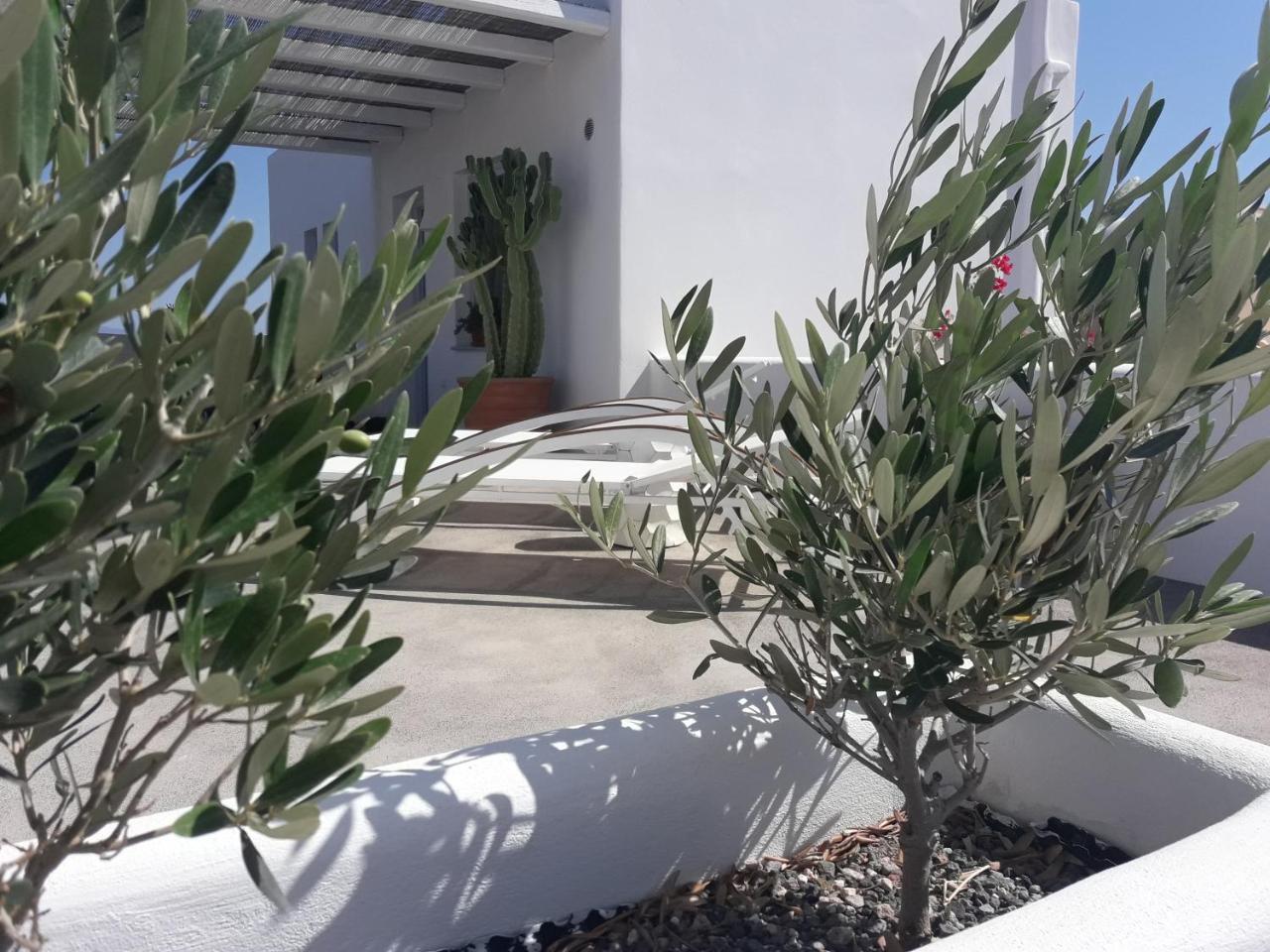 Sun Anemos Resort Οία Εξωτερικό φωτογραφία